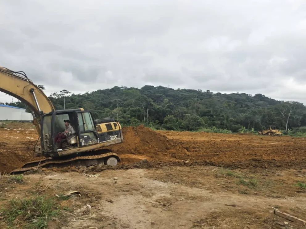 Vue large de la plateforme terrassée, forêt en limite de site